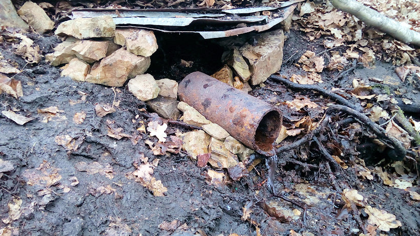 studánka Pod Buriánkou (14311)