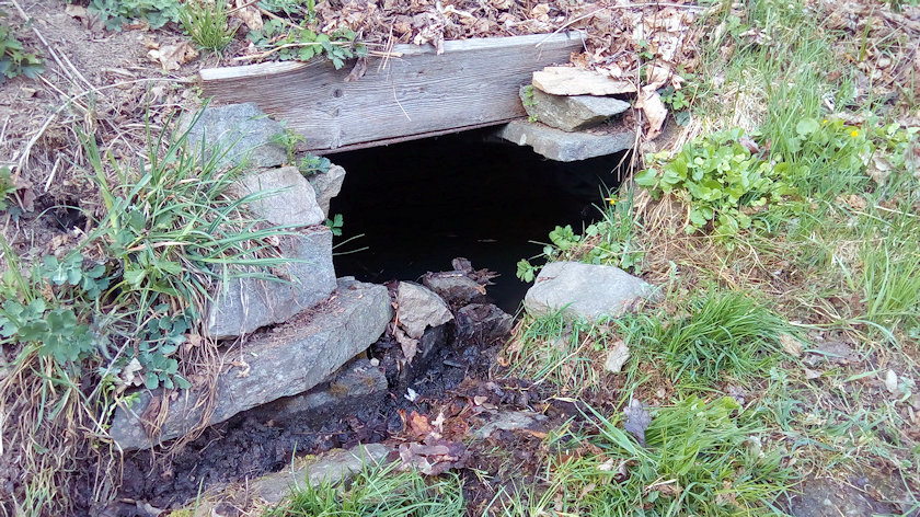 studánka bez jména (14319)