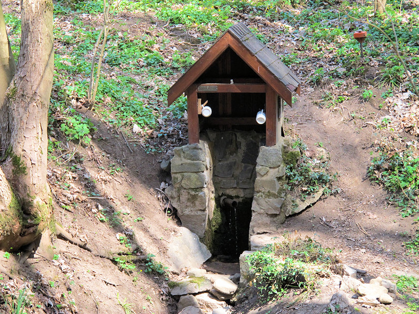 studánka bez jména (14320)