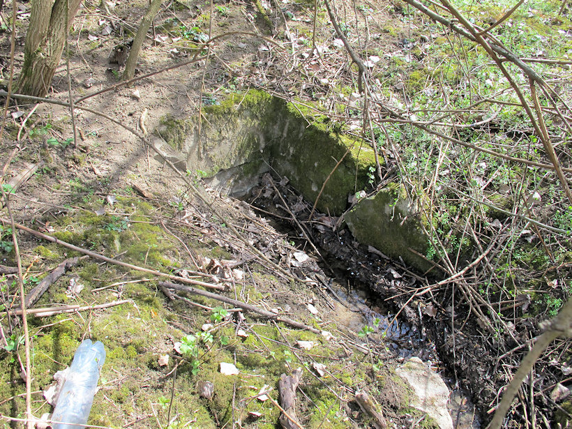 studánka bez jména (14321)