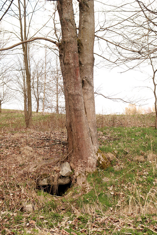 studánka bez jména (14328)