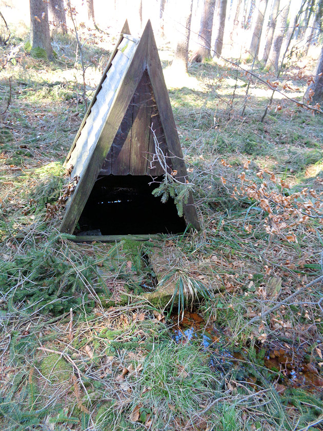studánka bez jména (14333)