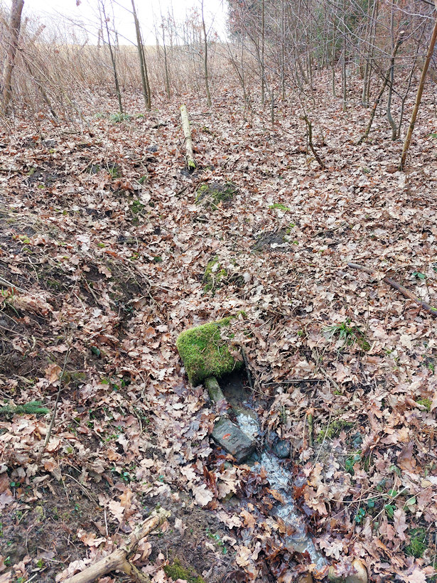 studánka U pískovny (14339)