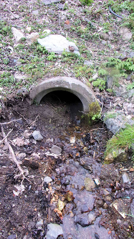 Průmyslová studánka (14342)