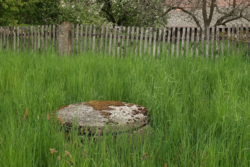 studánka bez jména (14357)