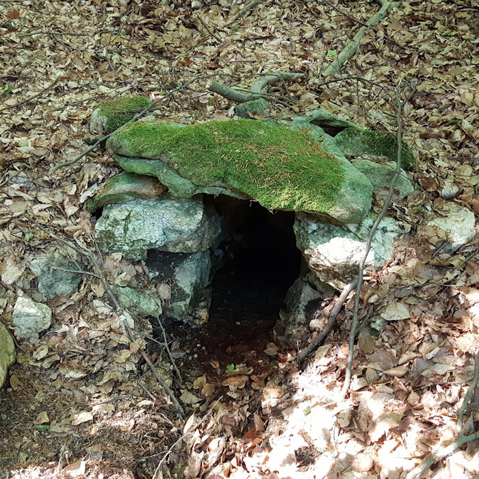 studánka bez jména (14361)
