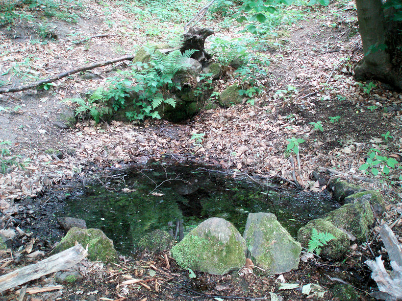 studánka Pod Sedmi duby (14374)