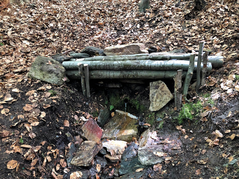 studánka Pod Jasankou (14376)