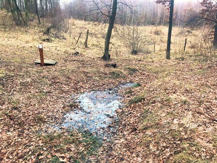 prameniště bez jména (14380)
