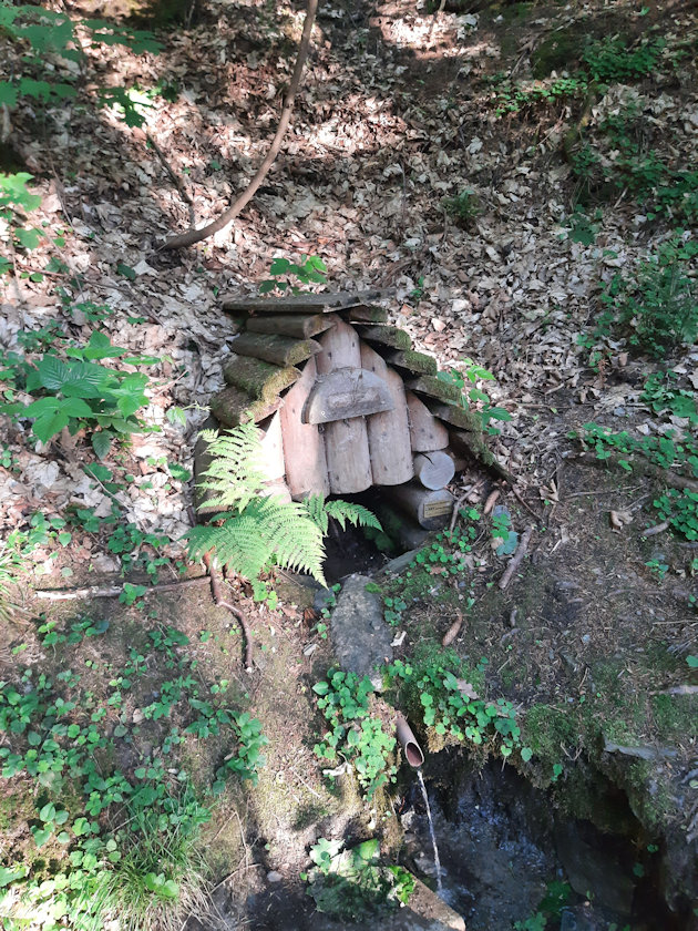 studánka bez jména (14384)