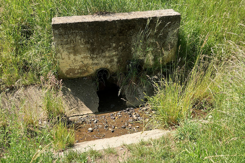 studánka Pod Rozárkou (14389)