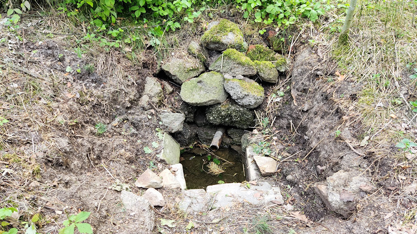 studánka Svobodná  (14413)