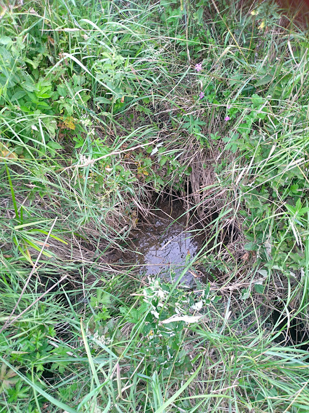 studánka Pramen Kozojedského potoka (14416)
