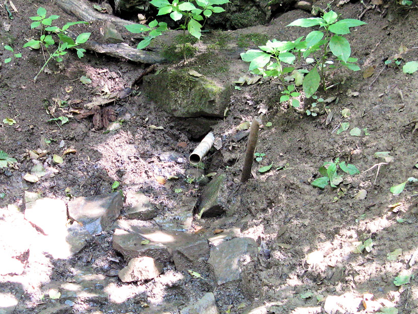studánka bez jména (14419)