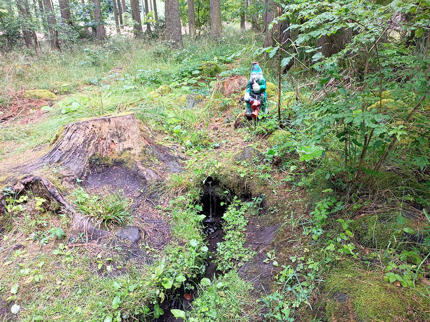 studánka Pod Hradišťským vrchem II (14421)