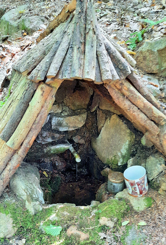 studánka bez jména (14435)