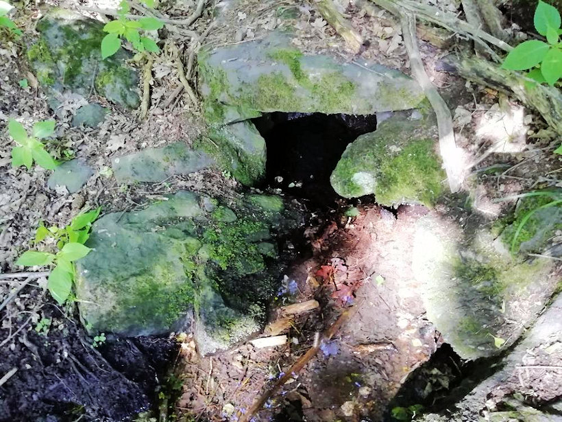 studánka Pod Kotolským vrchem (14449)