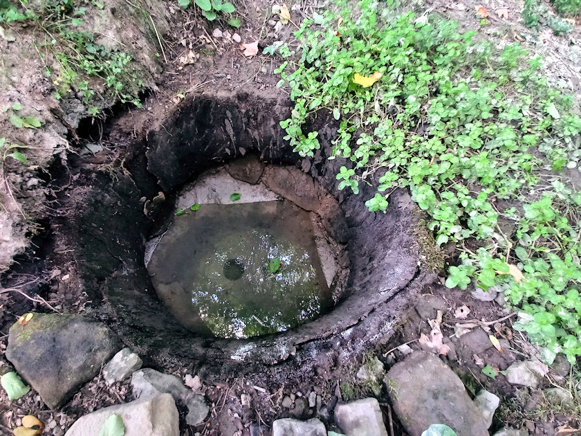studánka U Malinů (14452)