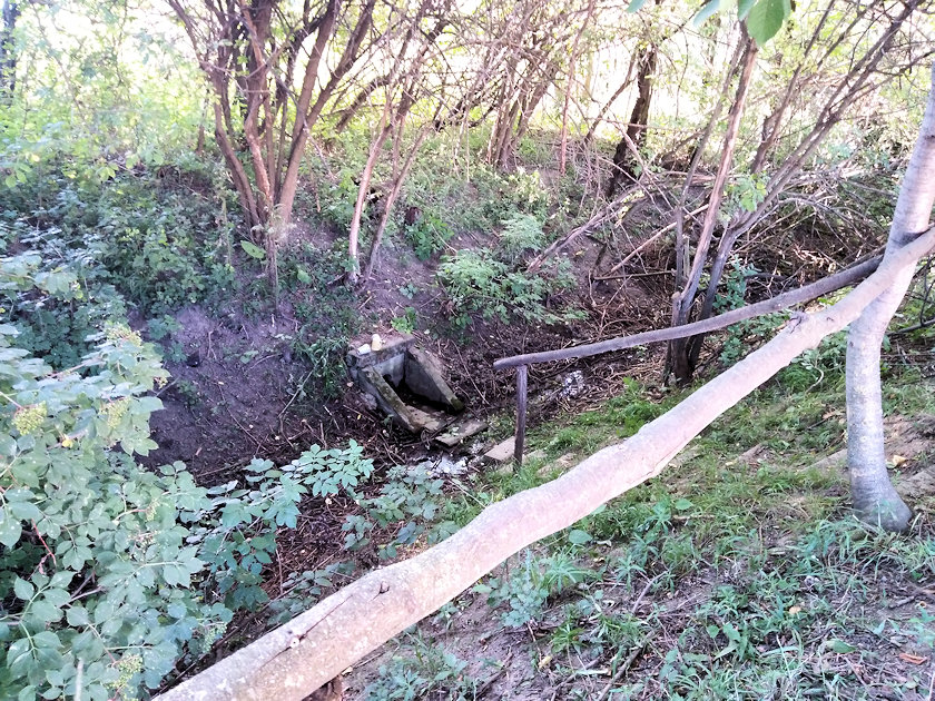 studánka Na Sadkově (14485)
