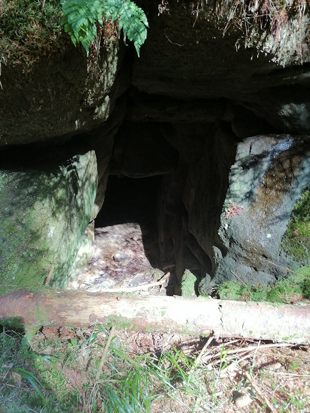 studánka Pod liščí norou (14486)