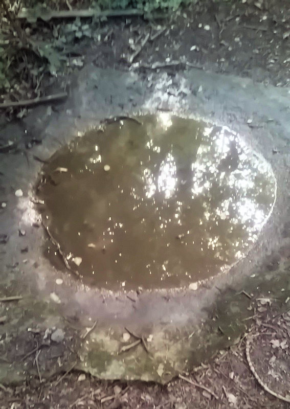 studánka V Beckově (14491)