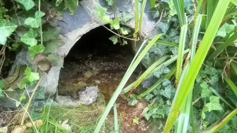 studánka Mezi rybníčky (14494)