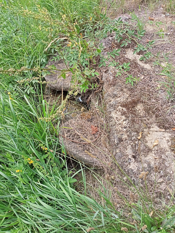 studánka bez jména (14499)