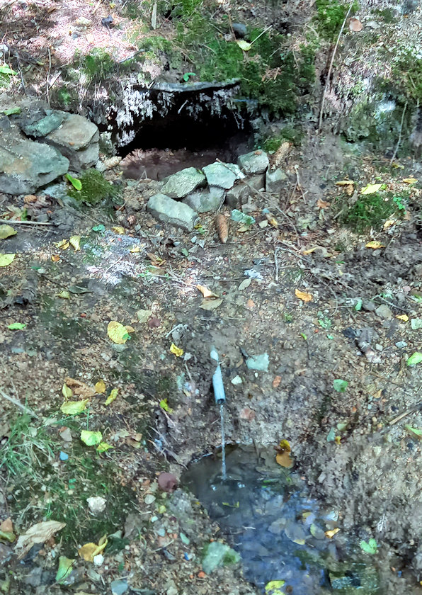 studánka bez jména (14513)