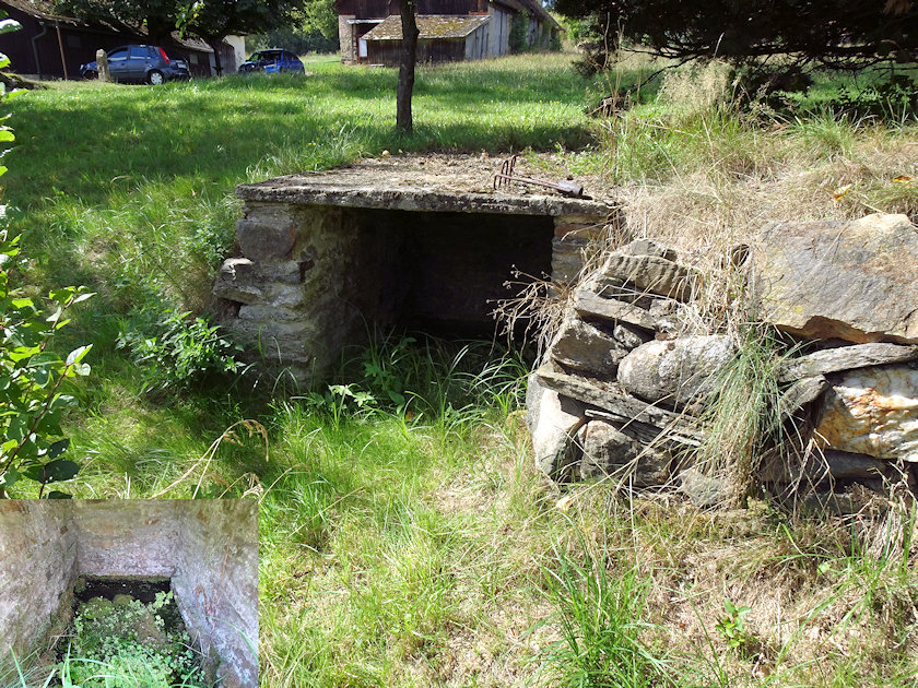 studánka U Pajkrova dubu (14518)