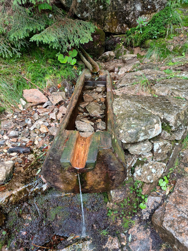 studánka Sv. Huberta (14536)