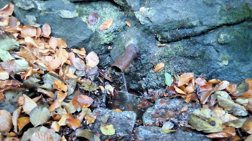 studánka Eleonorka (14554)