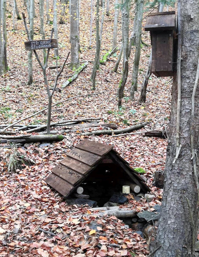 Stříbrná studánka (14565)