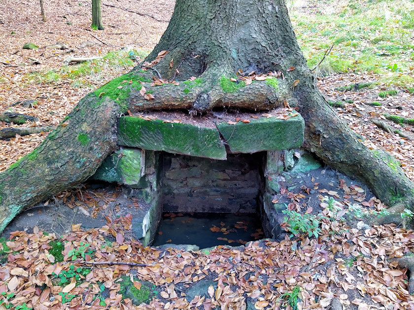 studánka Smrková (14569)