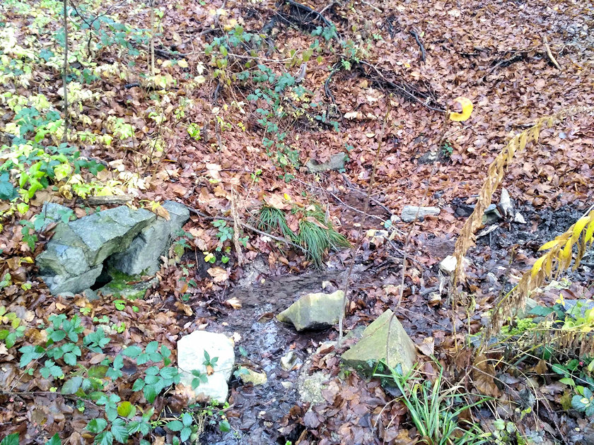 studánka U smradky (14595)