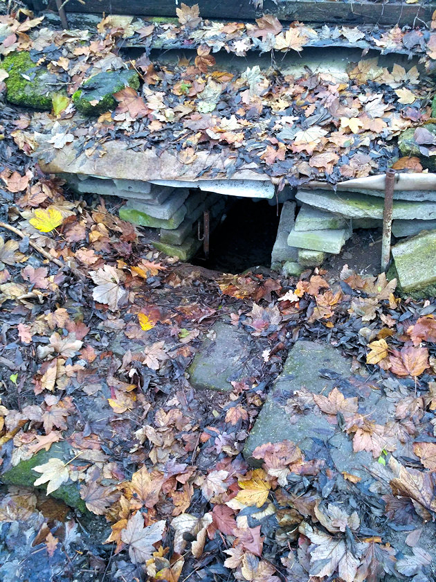 studánka U koupaliště (14596)