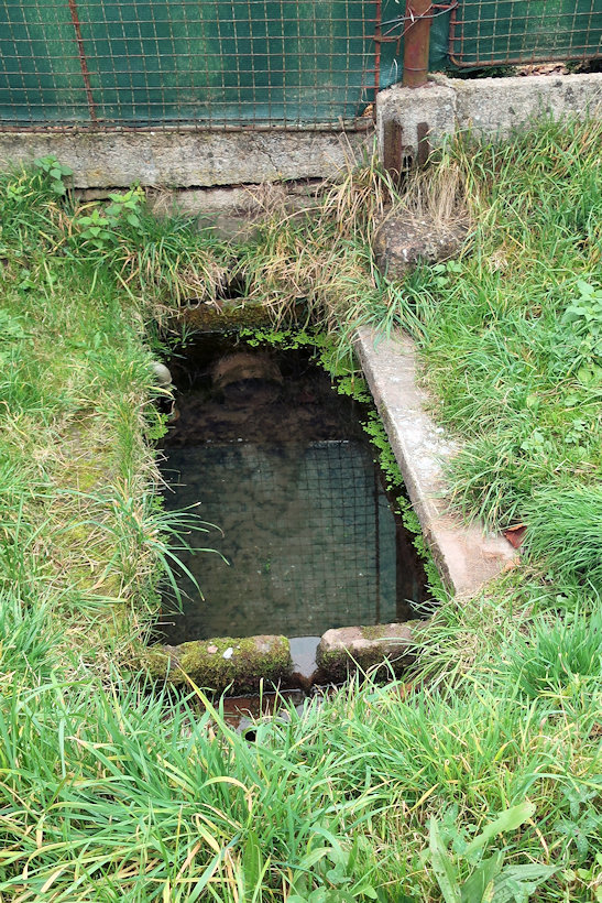 studánka Za Tratí (14602)