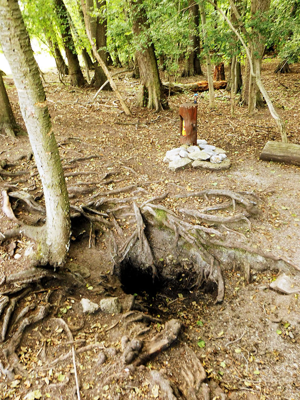 studánka Víly Amálky (14612)