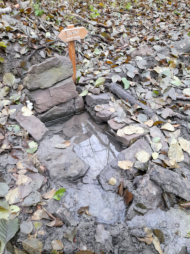 studánka Sviní pramen (14614)