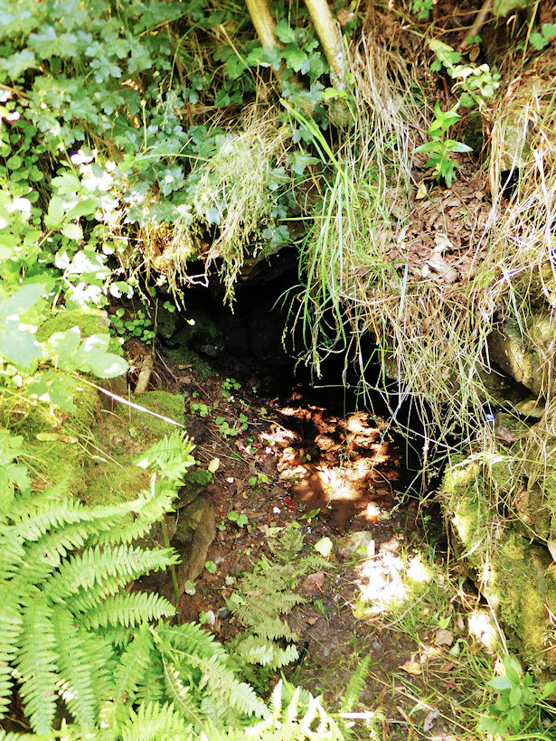studánka U Bárnyho (14617)