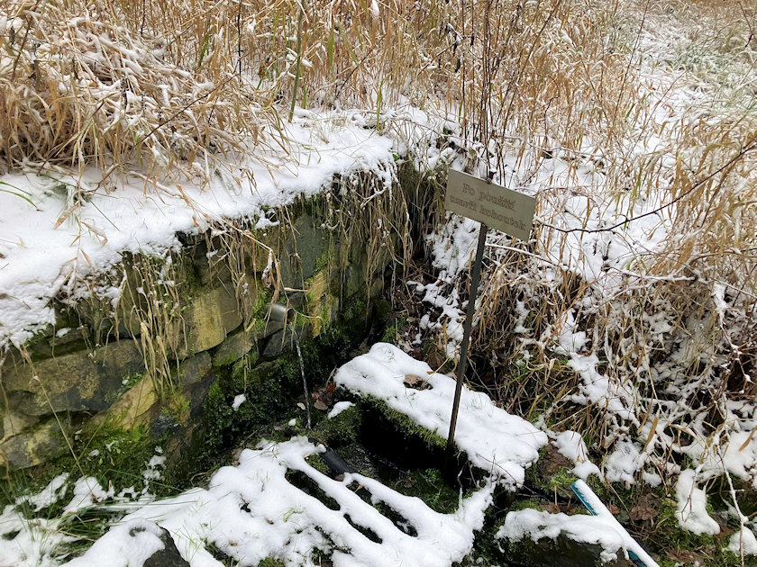 studánka bez jména (14621)