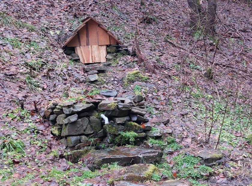 studánka Pod Loukovou horou (14636)