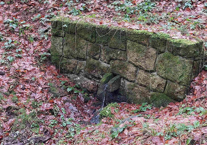 Petrova studánka (14640)