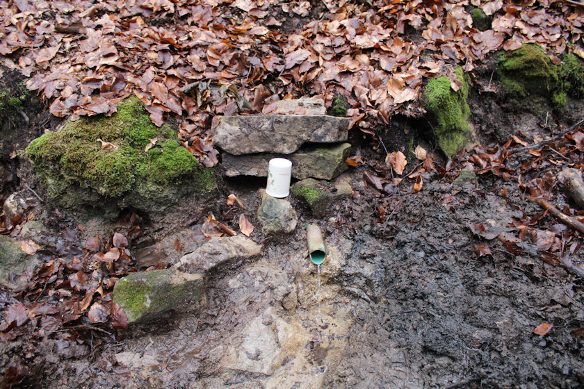studánka Svítání (14650)
