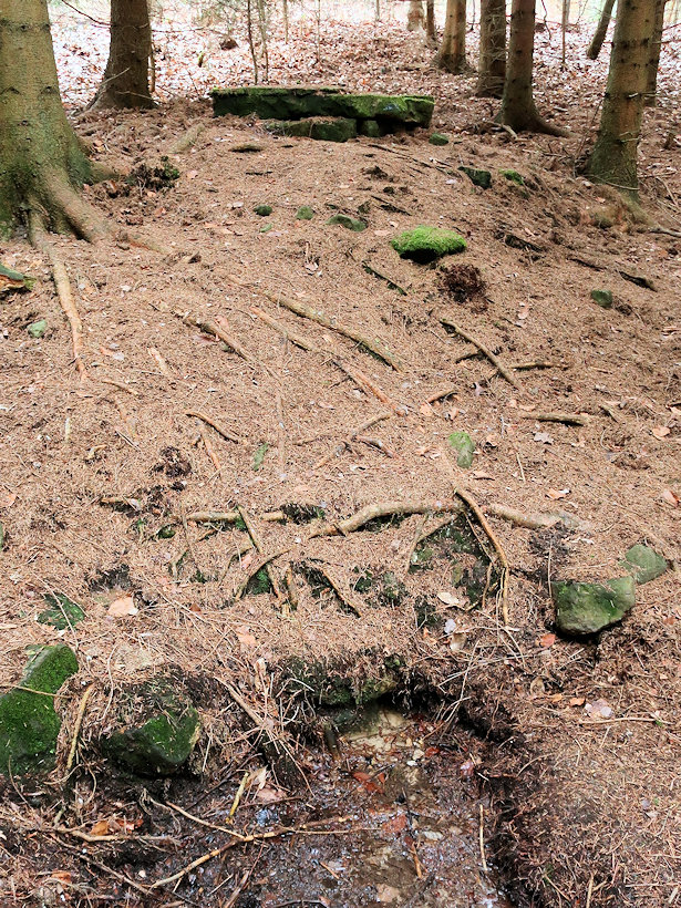 studánka bez jména (14652)