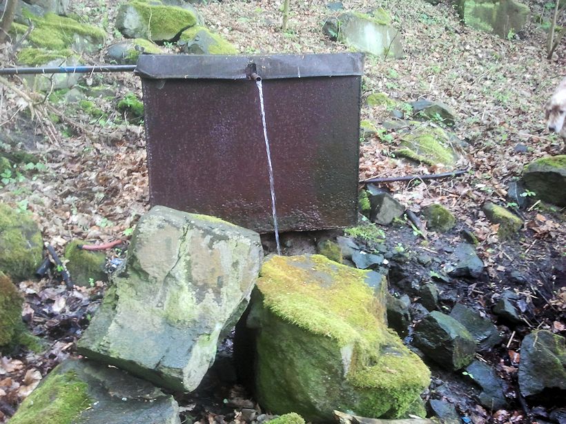 studánka Nad Vaňovem 2 (14656)