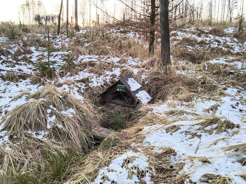 studánka U Huberta (14659)