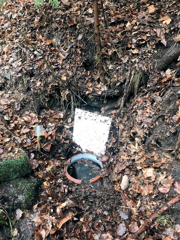 studánka Pod Smrkovů (14668)