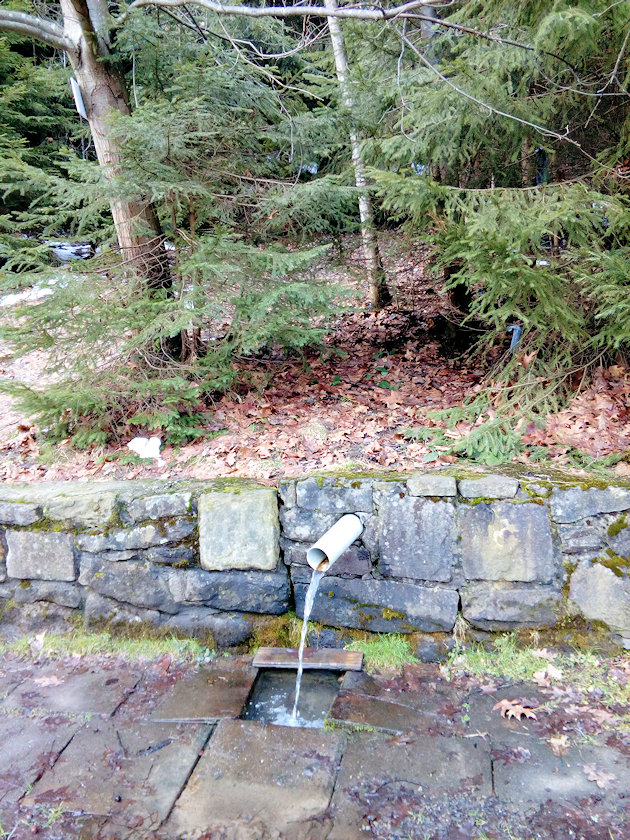 studánka Na Bílé (14675)