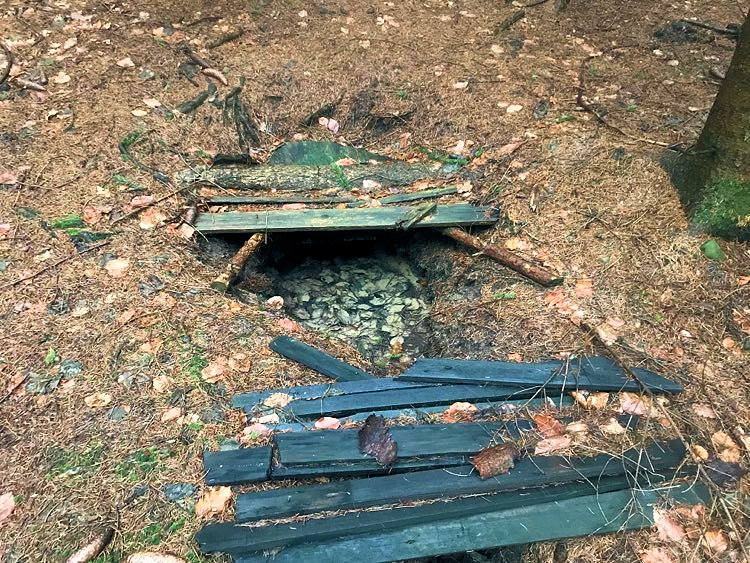 studánka U Olšáků (14680)