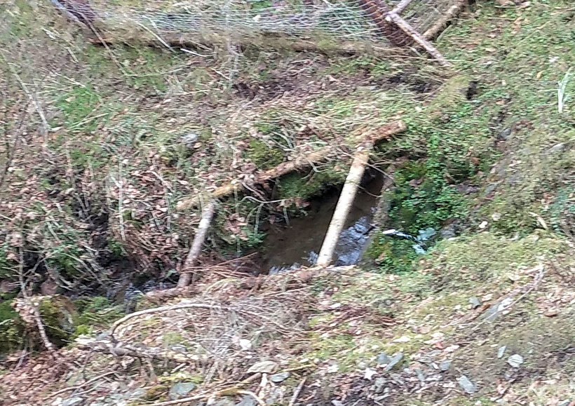studánka Danešova (14690)